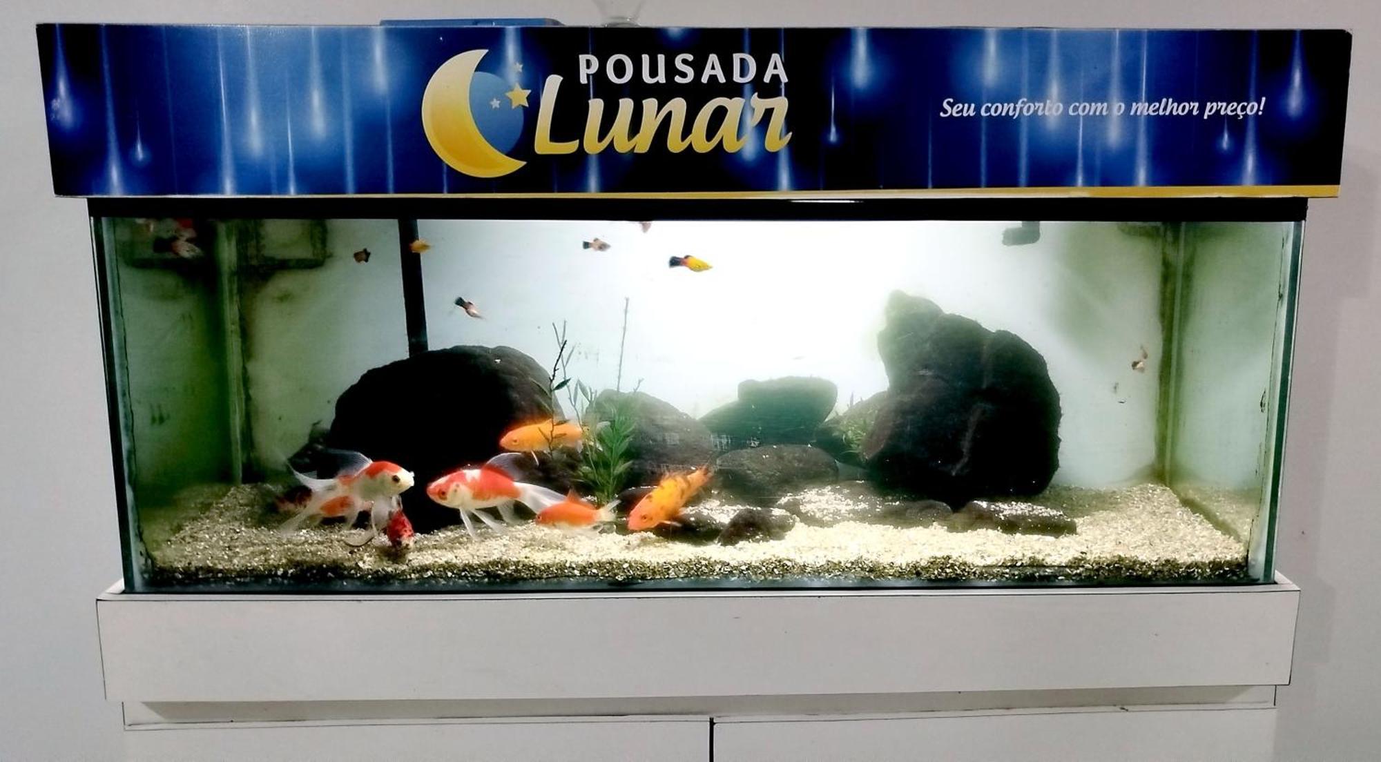 Pousada Lunar Parnaíba Exterior foto